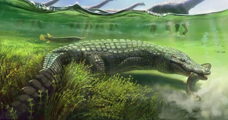 Quái vật máy nghiền mới lộ diện ở Brazil: Dài 6 m, 72 triệu tuổi