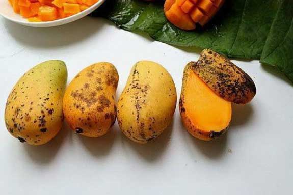 3 loại trái cây nằm trong "danh sách đen" có thể nuôi dưỡng tế bào lạ, ăn vào bệnh tật đầy mình