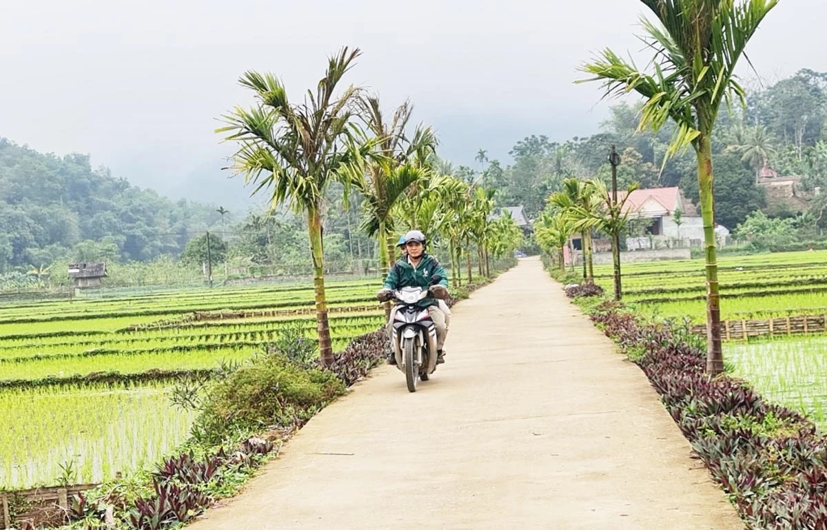 Con đường hoa ở một xã miền núi Thanh Hóa.