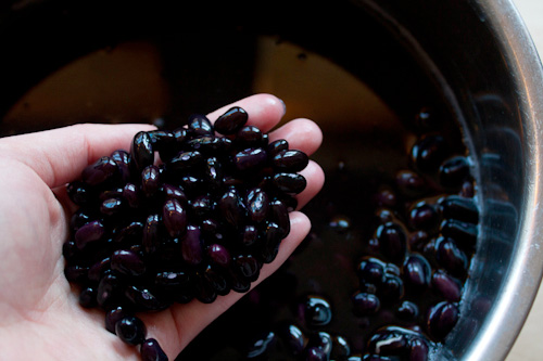 Đậu đen giúp bạn đánh bay 6 bệnh thường gặp này nhanh hơn dùng thuốc tây