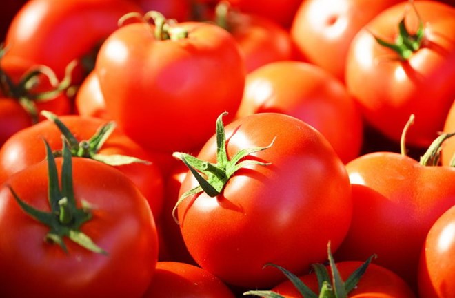 Cà chua và công dụng thần kỳ cho sức khỏe cánh mày râu