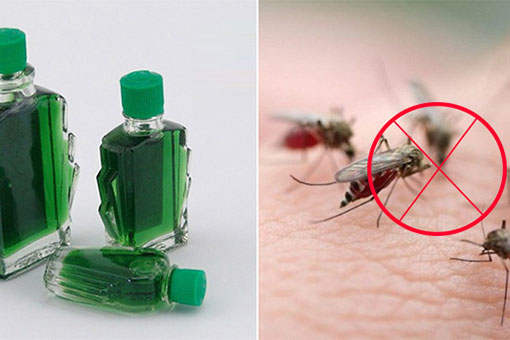 5 cách đuổi muỗi hiệu quả, an toàn ai cũng nên biết trong mùa sốt xuất huyết: Chỉ cần 1 lọ dầu gió