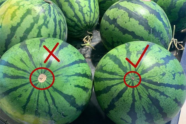 Chọn dưa hấu không cần vỗ vào quả, có 5 chỗ nhìn là biết ngay quả nào đặc ruột, ngọt căng, mỏng vỏ