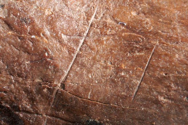 Sốc nặng vì thứ "hiện đại" trong hang động 320.000 tuổi, có thể của loài người khác