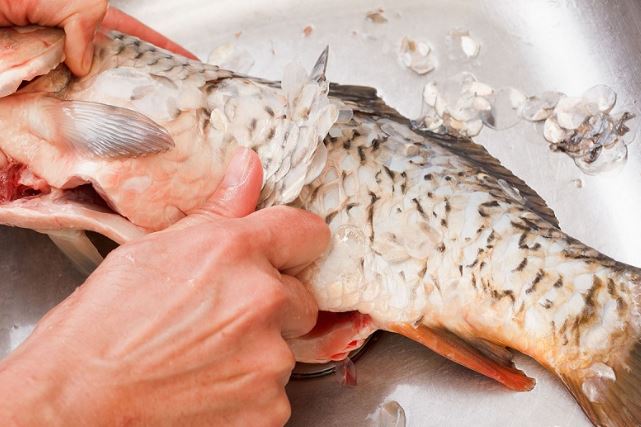 3 bộ phận của cá bổ ngang tổ yến, nhiều người thường bỏ đi mà chẳng hề hay biết