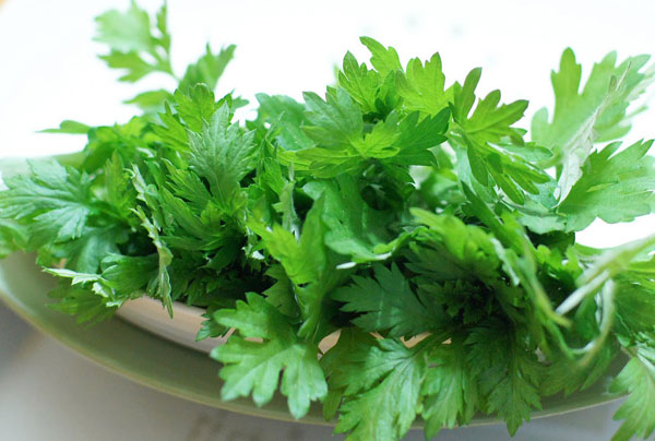 Sẹo bao nhiêu cũng chỉ cần dùng lá ngải cứu là khỏi