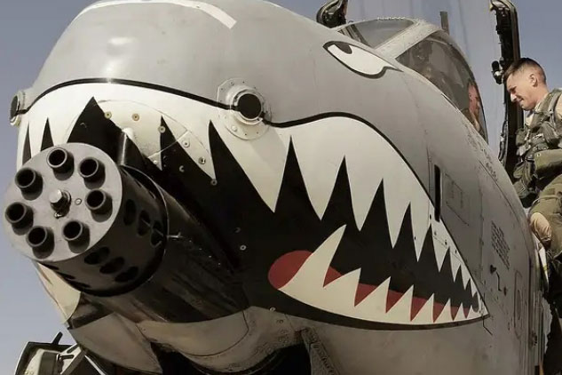 Tại sao một số cường kích A-10 của Không quân Mỹ được sơn hàm cá mập?