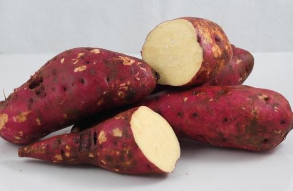 Ăn khoai lang kiểu này cân nặng giảm không kiểm soát