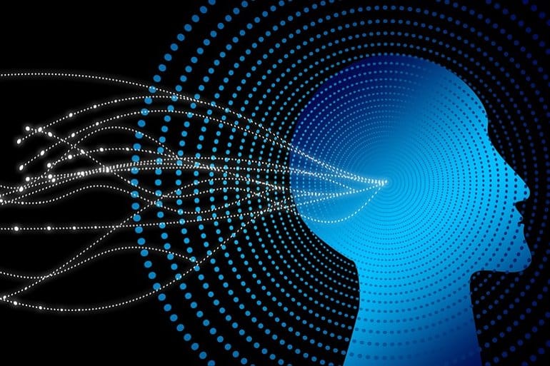 Brain area necessary for fluid intelligence identified