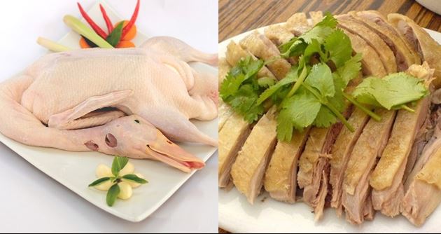 Bật mí mẹo sơ chế vịt cực sạch lông măng, khử hôi hiệu quả và tiết kiệm thời gian