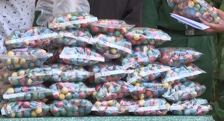 Long An phát hiện, bắt giữ nhiều vụ vận chuyển pháo lậu qua biên giới  