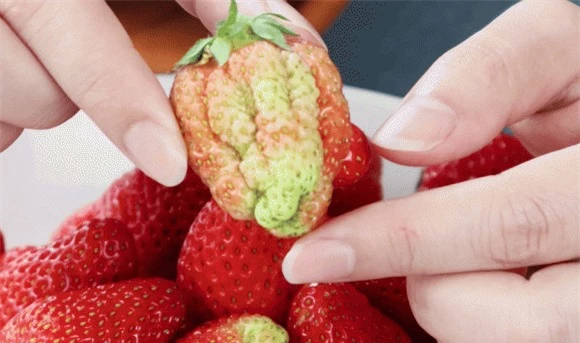 Dâu tây hỗ trợ giảm nguy cơ huyết áp và đột quỵ - Ảnh 3