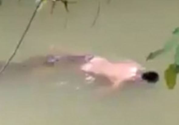 Kinh hoàng trước cảnh cá sấu trả lại xác người