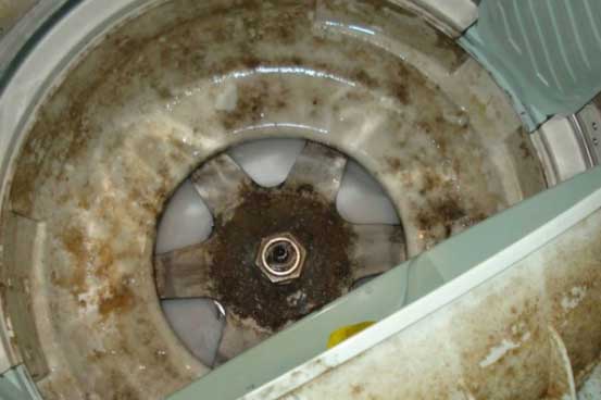 Đem giấm đổ vào máy giặt, tưởng việc ngớ ngẩn hóa ra lại mang đến lợi ích to đùng