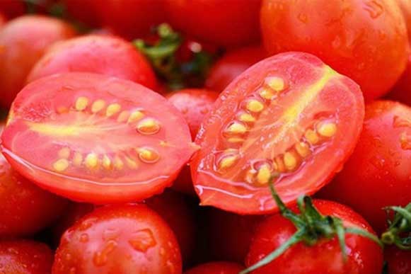 Ăn cà chua có nên bỏ hạt? Những sai lầm cần tránh khi ăn cà chua