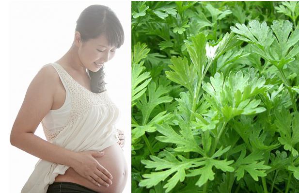 Thực phẩm mẹ bầu ăn vào sẽ gây sảy thai tức khắc