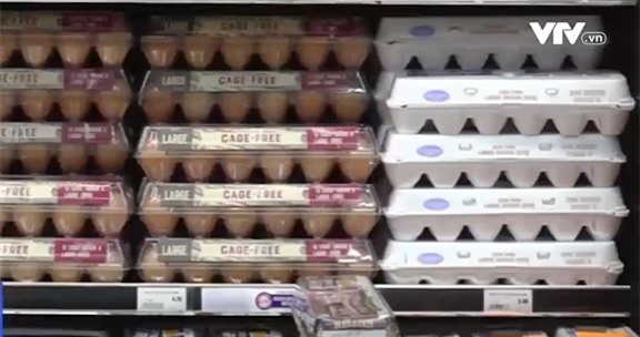 Giá trứng tại Mỹ tăng cao - Ảnh 1.