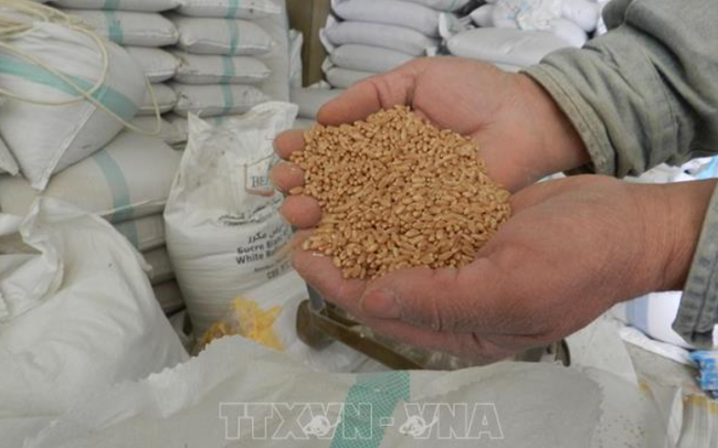 An ninh lương thực - vấn đề "nóng" khi dân số thế giới chạm mốc 8 tỷ