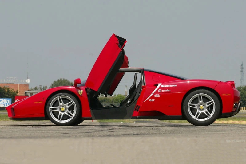 1. Ferrari Enzo (vận tốc tối đa: 355 km/h).