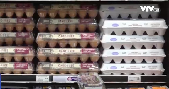 Giá trứng tại Mỹ tăng cao