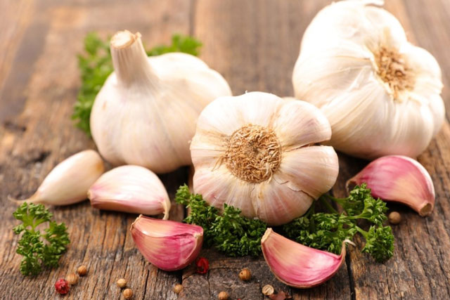Lợi ích quý giá của tỏi