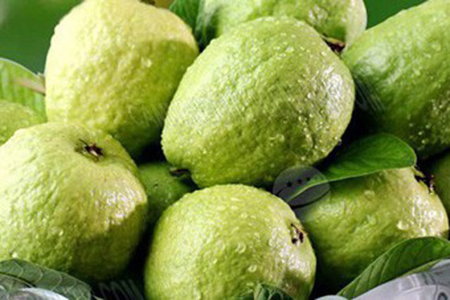 Những người không nên ăn ổi