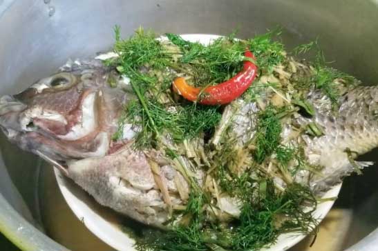 Hấp cá đừng dùng nước lã, làm theo cách này cá chín ngọt, thơm phức, không bị tanh