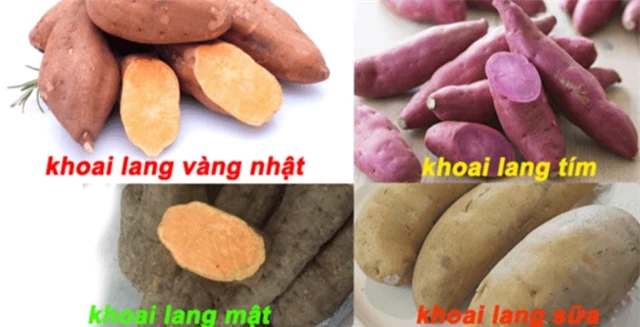 M&#243;n ăn, b&#224;i thuốc qu&#253; từ khoai lang - Ảnh 1