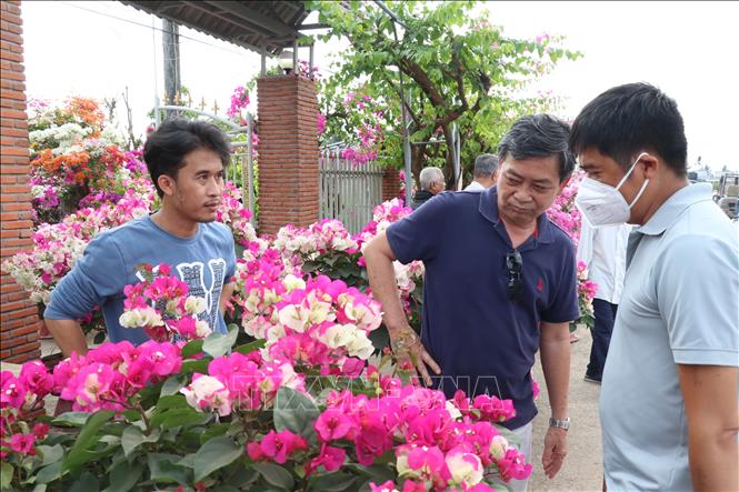 Đi du lịch trước Tết, cảm nhận sắc Xuân sớm