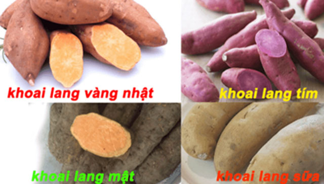 Món ăn, bài thuốc quý từ khoai lang