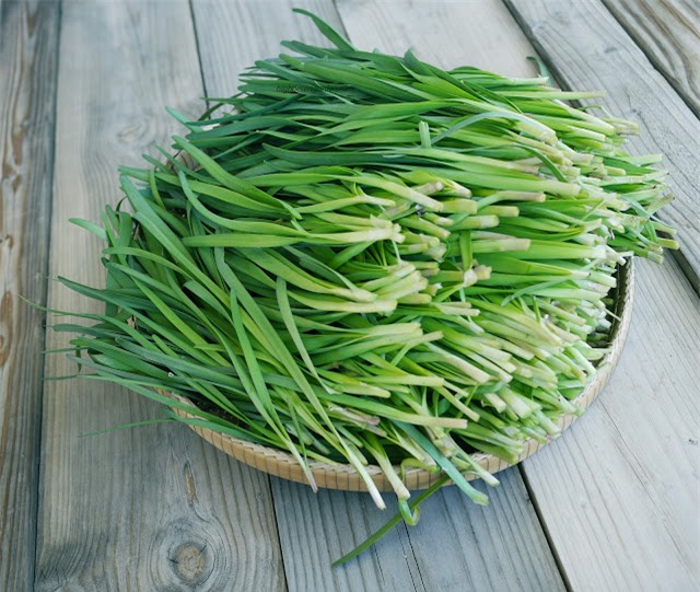 Mô tả ảnh
