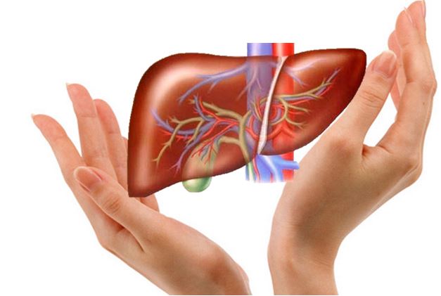 Mẹo thải độc gan ngay tại nhà hiệu quả nhất để đón tết