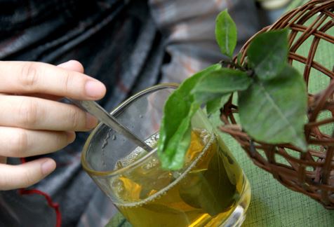 Hãy uống trà xanh theo cách này sẽ không sợ ung thư tìm đến