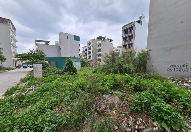 Nhà đầu tư sẵn tiền bắt đầu gom bất động sản giá hời?