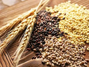 Thực phẩm giàu chất xơ tốt cho hệ tiêu hóa