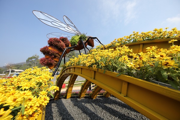 Nhiều trải nghiệm hấp dẫn tại Hội Xuân núi Bà Đen Tết này với chủ đề “Hương sắc Tây Ninh” 