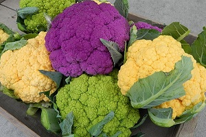 Làm chủ công nghệ chỉnh sửa hệ gen ứng dụng trong nông nghiệp