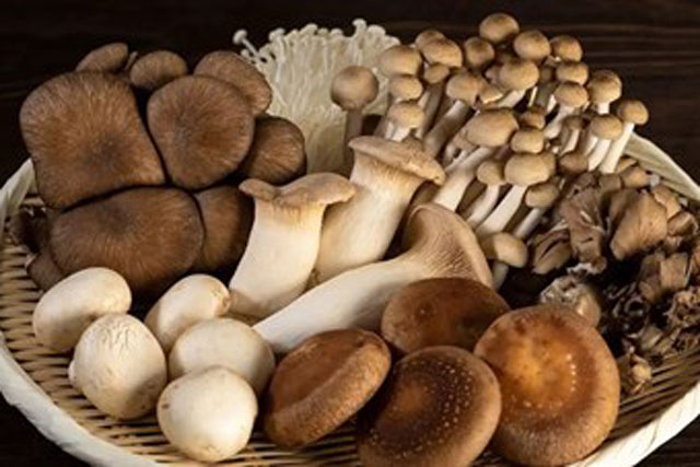 Bỏ túi ngay những thực phẩm tốt cho xương, khớp