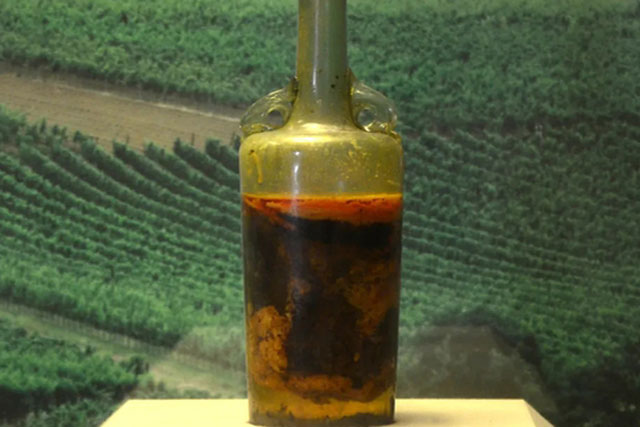 Tìm thấy chai rượu vang 1.700 năm trong mộ cổ, chuyên gia: Có thể vẫn uống được