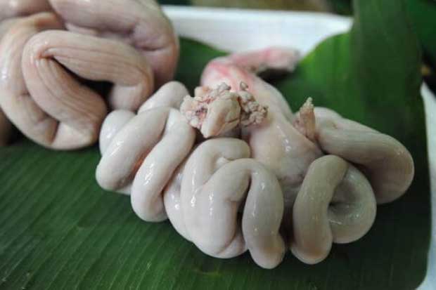 4 bộ phận của con lợn dẫn K vào người, số 1 người Việt hay ăn nhất