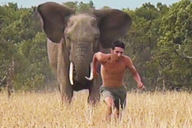 Clip: Liều mạng chọc tức voi hoang dã