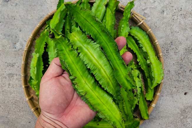 5 loại rau giàu canxi gấp 16 lần nước hầm xương, cao hơn cả sữa: Ăn vào mùa đông cực tốt cho cơ thể