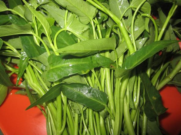 Ăn rau muống kiểu này là bạn đang tự hại cả gia đình mình
