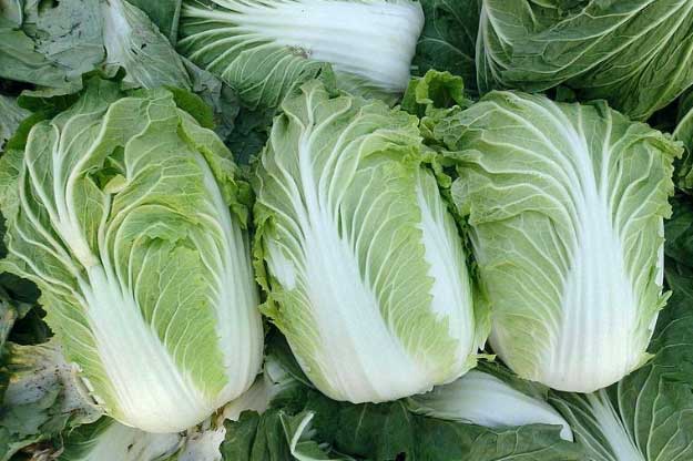 5 loại rau cực bẩn, đi ăn quán nên tránh gọi, nhân viên nhà hàng chẳng bao giờ rửa sạch trước khi bày ra