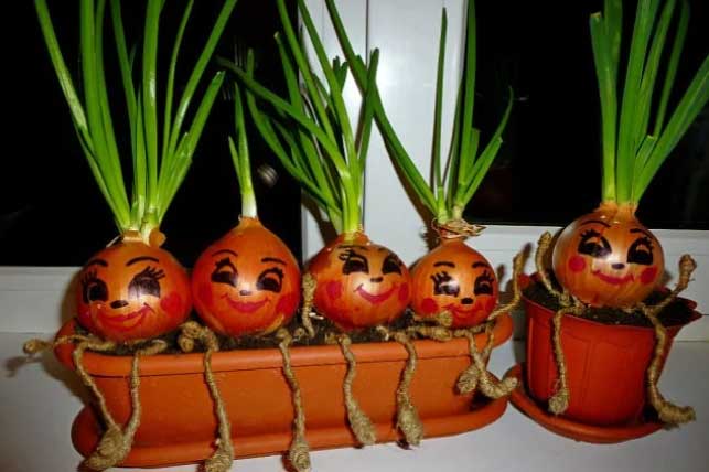 5 loại rau củ ăn xong đừng vứt rễ, thả vào cốc nước ít ngày sau cả nhà ăn không hết