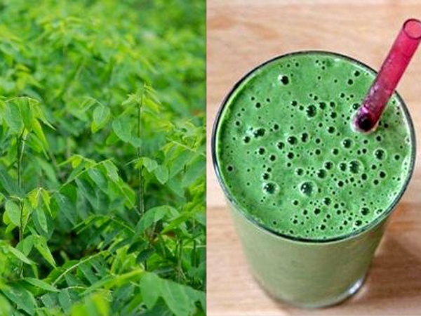 Rau ngót - "thần dược" trị nám không mất tiền