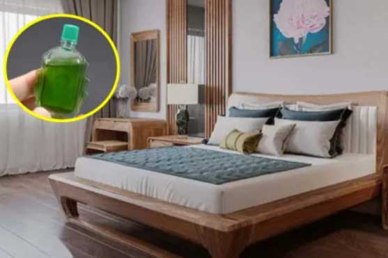 Trước khi đi ngủ cứ để 1 lọ dầu gió đầu giường, giải quyết vấn đề cả nam nữ đều gặp