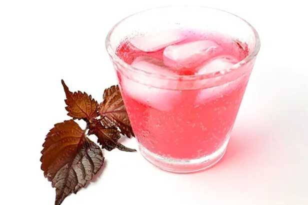 Uống nước lá tía tô kết hợp 2 thứ này giảm mỡ bụng nhanh, tốt như nhân sân ngàn năm