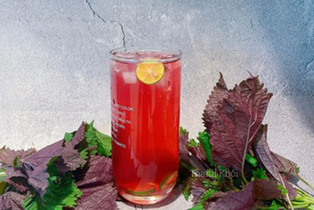 Lá tía tô rất tốt nhưng những người này không nên dùng