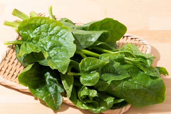 6 lợi ích không ngờ khi bạn thường xuyên ăn rau mồng tơi, nhất là điều thứ 3
